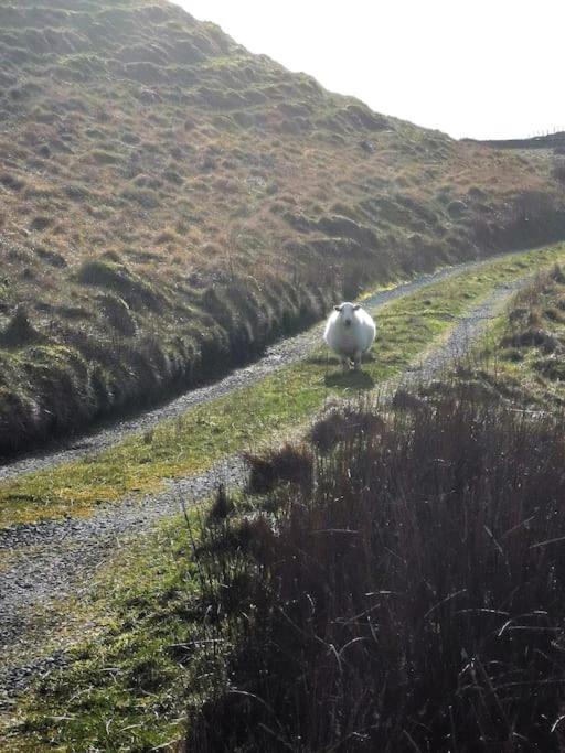 Zipworld Waterfalls Eryri Dogs Welcome 3 Bed Sleeps 5 Blaenau Ffestiniog Exterior foto